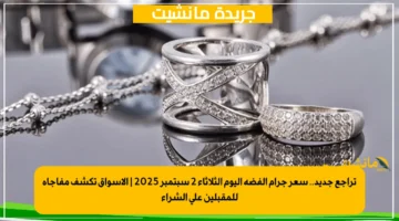 تراجع جديد.. سعر جرام الفضة اليوم الثلاثاء 2 سبتمبر 2025 | الأسواق تكشف مفاجأة للمقبلين على الشراء